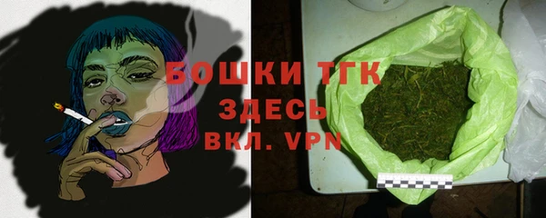 стаф Няндома