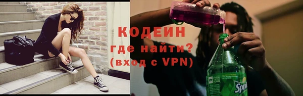 стаф Няндома