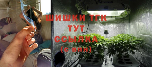 стаф Няндома